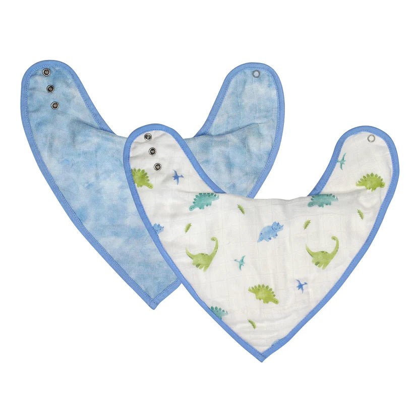 Bamboo Little Dinosaur Bib Set - Fun & Fancy Children's Boutique