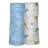 Bamboo Little Dinosaur Swaddle Set - Fun & Fancy Children's Boutique